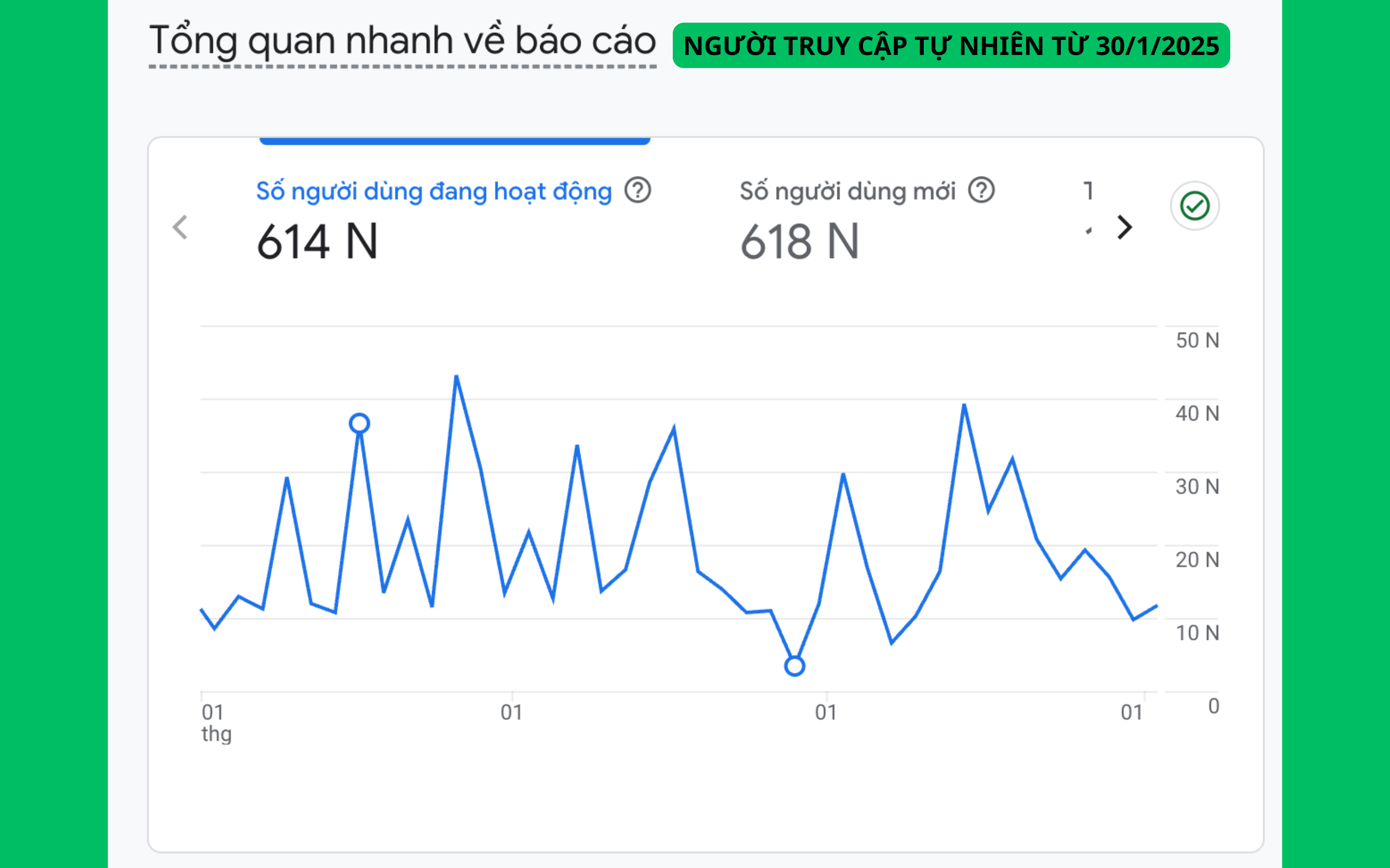 Thống kê truy cập tự nhiên của tên miền QUYNHLUU.COM
