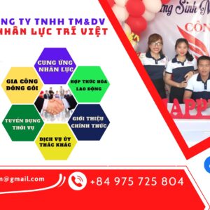 CÔNG TY TNHH ĐÀO TẠO VÀ CUNG ỨNG NGUỒN NHÂN LỰC TRÍ VIỆT