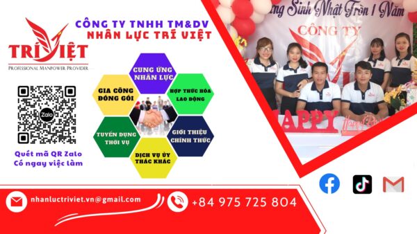 CÔNG TY TNHH ĐÀO TẠO VÀ CUNG ỨNG NGUỒN NHÂN LỰC TRÍ VIỆT