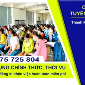 CÔNG TY TNHH ĐÀO TẠO VÀ CUNG ỨNG NGUỒN NHÂN LỰC TRÍ VIỆT