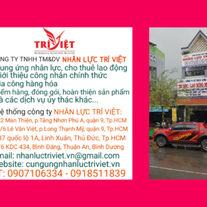 CÔNG TY TNHH ĐÀO TẠO VÀ CUNG ỨNG NGUỒN NHÂN LỰC TRÍ VIỆT