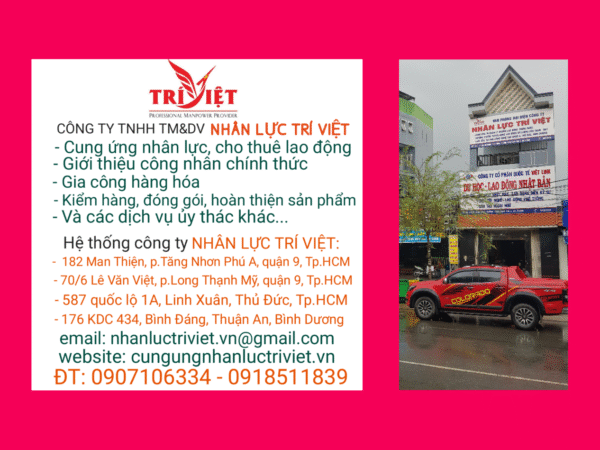 CÔNG TY TNHH ĐÀO TẠO VÀ CUNG ỨNG NGUỒN NHÂN LỰC TRÍ VIỆT